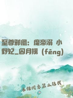 至尊邪凰：魔帝溺寵小野妃