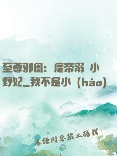 至尊邪凰：魔帝溺寵小野妃