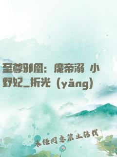 至尊邪凰：魔帝溺寵小野妃