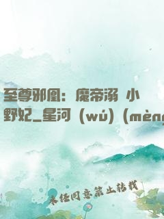至尊邪凰：魔帝溺寵小野妃
