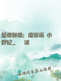 至尊邪凰：魔帝溺寵小野妃