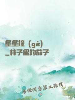 與星星撞個(gè)滿懷