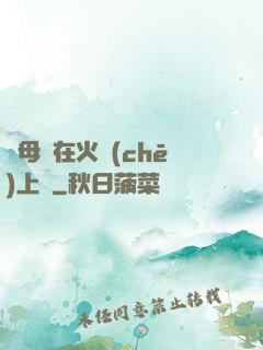 與母親在火車(chē)上鋪