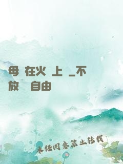 與母親在火車上鋪