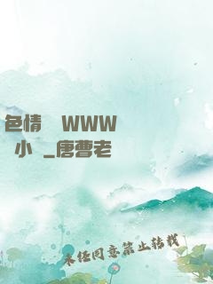 色情無碼WWW視頻無碼小說