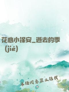 花心小保安