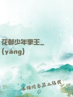 花都少年拳王