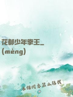 花都少年拳王