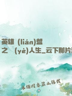 英雄聯(lián)盟之職業(yè)人生