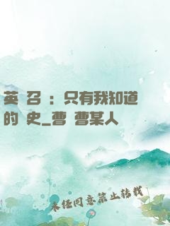 英靈召喚：只有我知道的歷史