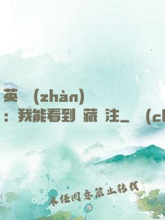英靈戰(zhàn)爭：我能看到隱藏備注
