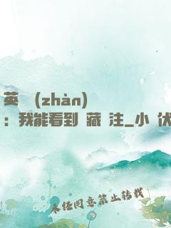 英靈戰(zhàn)爭：我能看到隱藏備注