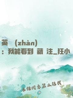 英靈戰(zhàn)爭：我能看到隱藏備注