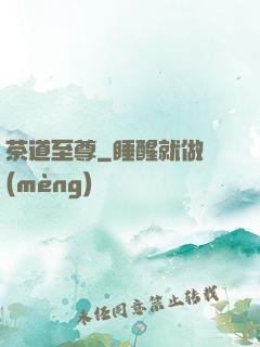 茶道至尊
