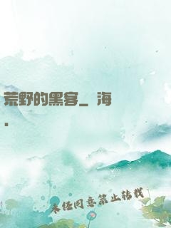 荒野的黑客