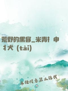 荒野的黑客