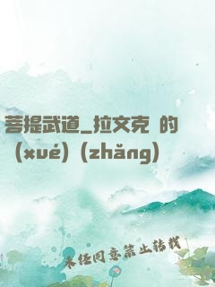 菩提武道