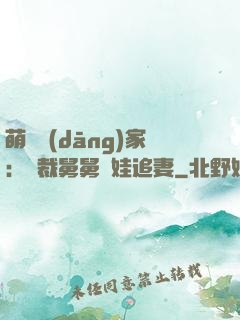 萌寶當(dāng)家：總裁舅舅帶娃追妻