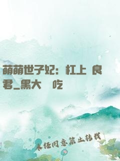萌萌世子妃：杠上無良君