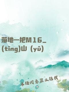 落地一把M16