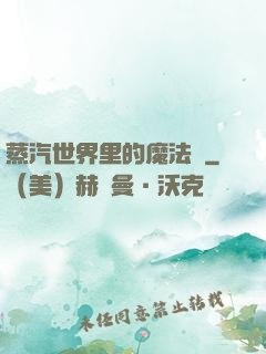 蒸汽世界里的魔法師