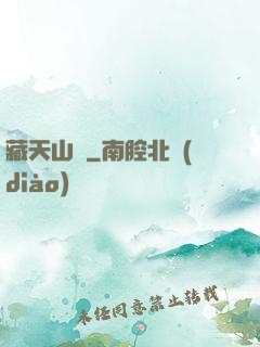 藏天山莊