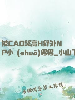 被CAO哭高H野外NP小說(shuō)男男