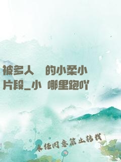 被多人強倫的小柔小說片段
