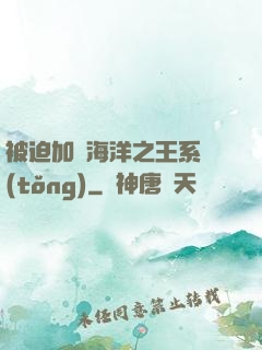 被迫加載海洋之王系統(tǒng)