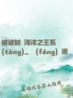 被迫加載海洋之王系統(tǒng)