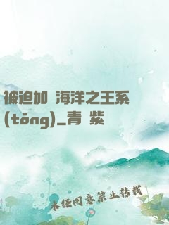 被迫加載海洋之王系統(tǒng)