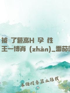 被開了苞高H懷孕雙性王一博肖戰(zhàn)