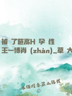 被開了苞高H懷孕雙性王一博肖戰(zhàn)