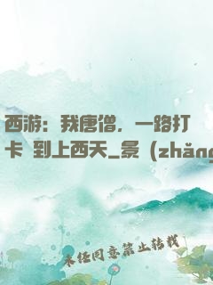 西游：我唐僧，一路打卡簽到上西天