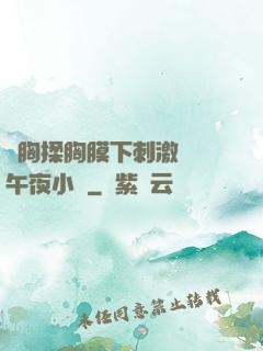 親胸揉胸膜下刺激視頻午夜小說