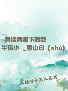 親胸揉胸膜下刺激視頻午夜小說
