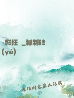 詭影狂盜