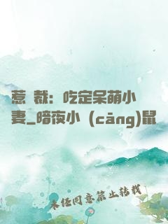 誤惹總裁：吃定呆萌小嬌妻