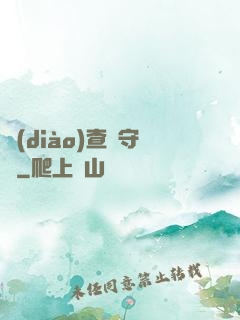 調(diào)查員守則