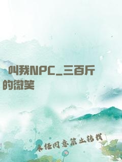 請叫我NPC