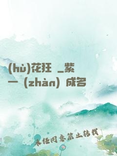 護(hù)花狂龍