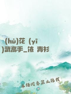 護(hù)花醫(yī)武高手