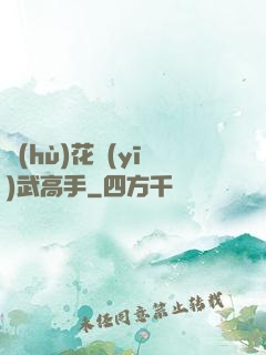 護(hù)花醫(yī)武高手