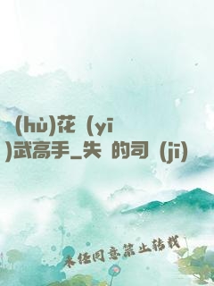 護(hù)花醫(yī)武高手