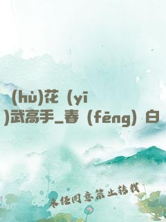 護(hù)花醫(yī)武高手