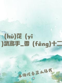護(hù)花醫(yī)武高手