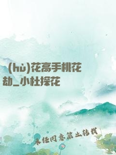 護(hù)花高手桃花劫