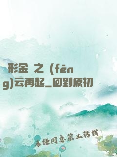 變形金剛之風(fēng)云再起