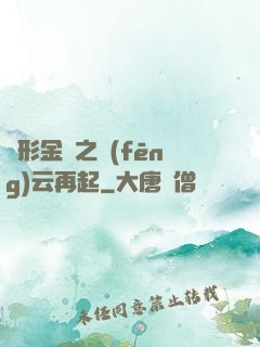 變形金剛之風(fēng)云再起