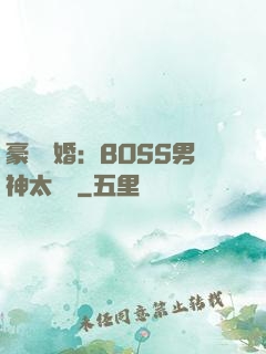 豪門閃婚：BOSS男神太難纏